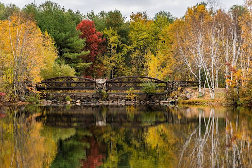 State Park «Lincoln Woods State Park», reviews and photos, 2 Manchester Print Works Rd, Lincoln, RI 02865, USA