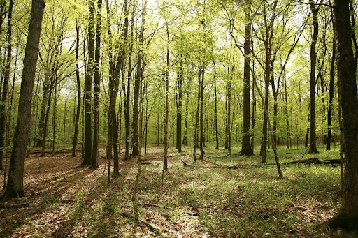State Park «Long Hunter State Park», reviews and photos, 2910 Hobson Pike, Hermitage, TN 37076, USA