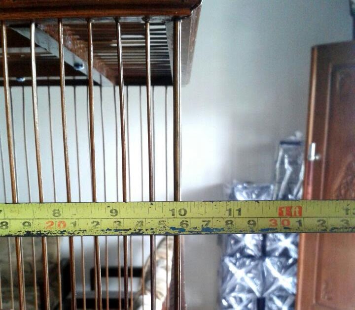 Jarak Jeruji Sangkar Pleci Rumah Soal