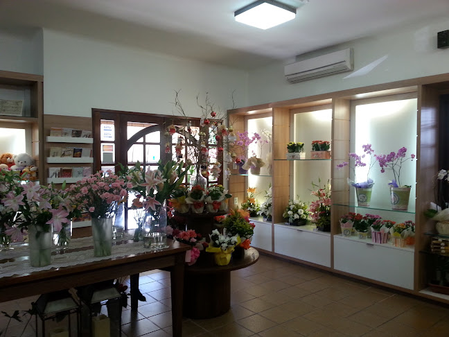 Av. Rui Barbosa, 2371 - Aldeota, Fortaleza - CE, 60115-222, Brasil
