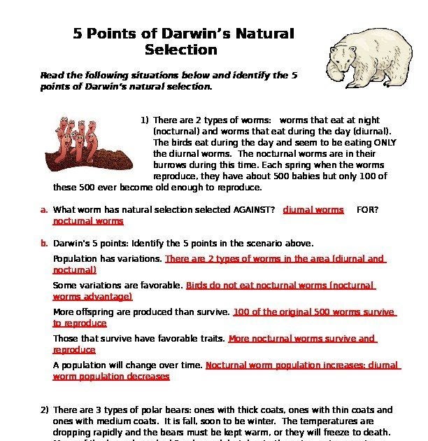 darwin-s-natural-selection-worksheet-answers-polar-bears-handmadely