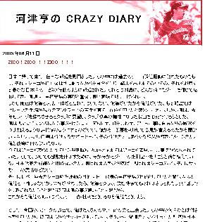 CRAZY DIARY.jpg