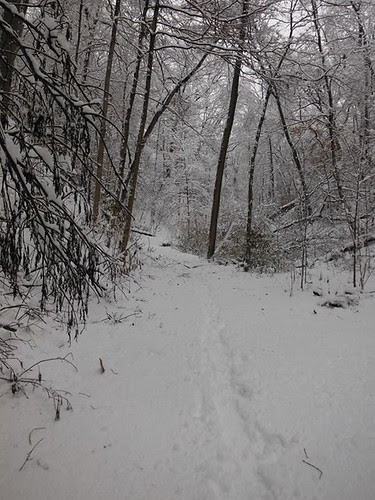 photo.JPG