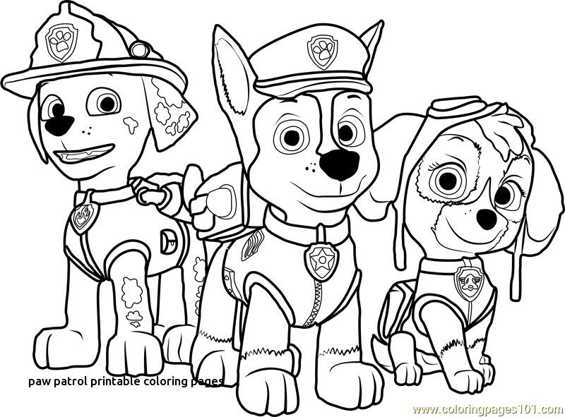 Sweetie Mission Paw Patrol Coloring Pages : PAW Patrol All-Stars