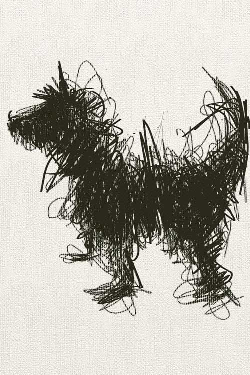 scribble art 22