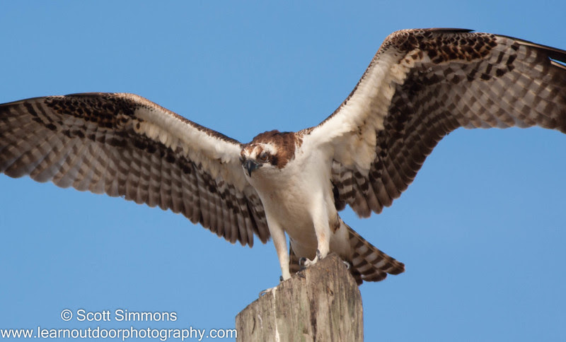 Photo & Video Sharing by SmugMug Photo & Video Sharing by SmugMug