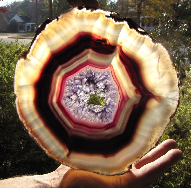 http://www.pinterest.com/pin/161214861633506936/ Fabulous and Huge Amethyst Geode Cross Section, Crystals, Color! from faywrayantiques on Ruby Lane