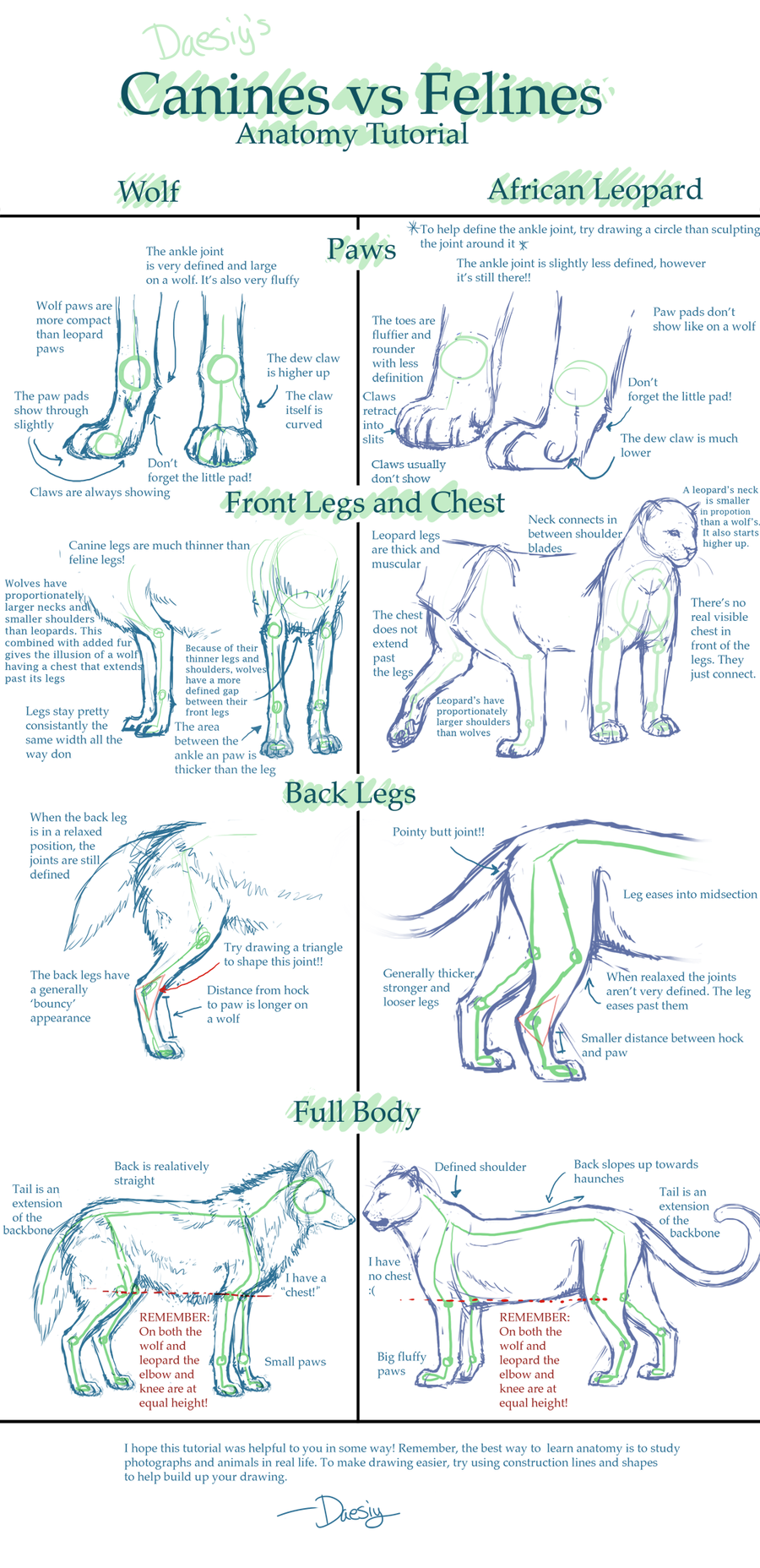 Featured image of post Dog Paw Drawing Tutorial - Nothing special, more warm up paw sketches~ part 1 yes animal drawings drawing tutorial drawings paw drawing drawing tips cat drawing t art wolf drawing dog drawing.