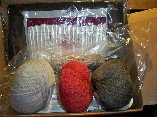 KnitPicks Zephyr Interchangeable Circular Needle Set and Palette Yarn