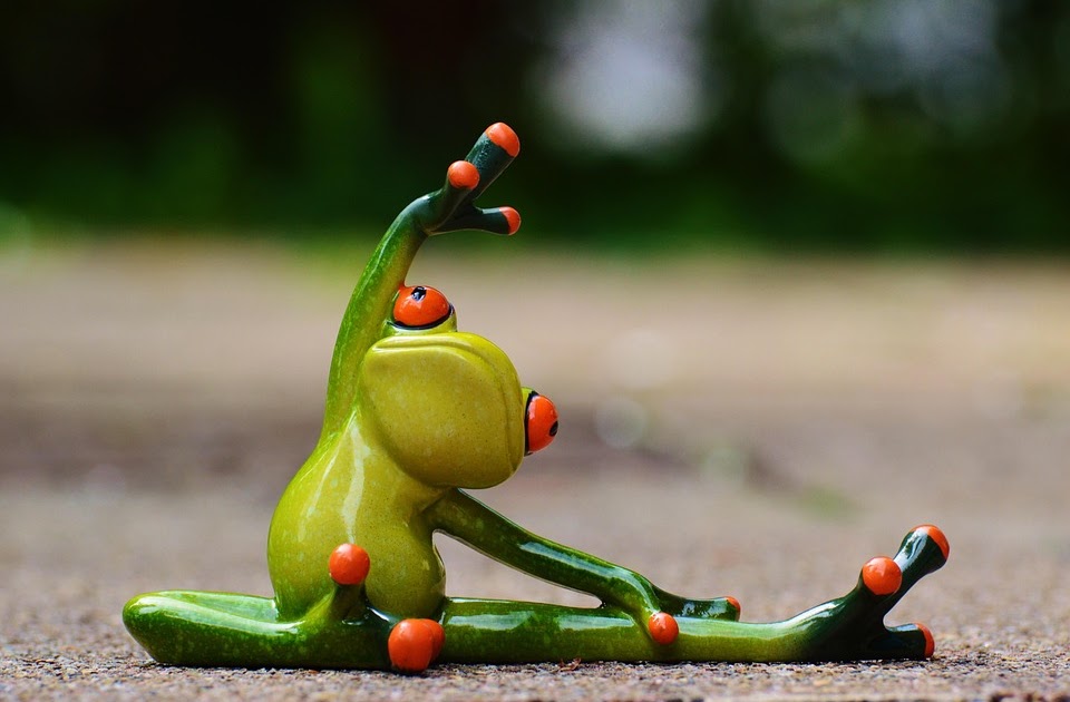 Lustige Frosch Bilder Kostenlos