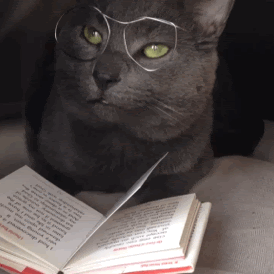 Resultado de imagen para lectores imagenes gif