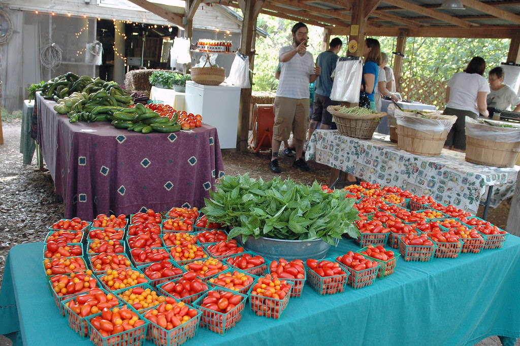 Cherry tomatoes and greens