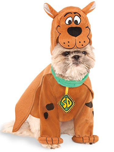 Best Pet Costumes For Halloween