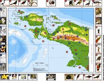 91 Gambar Peta Flora Indonesia Paling Keren