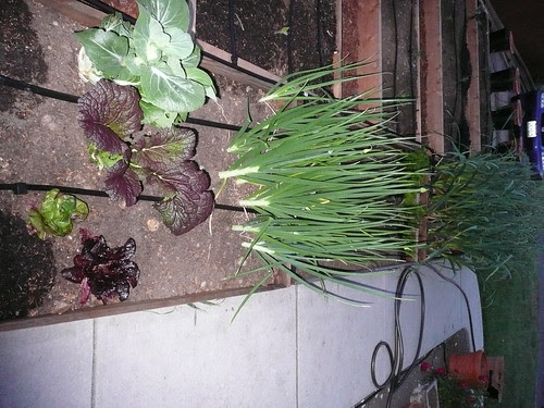 P1010300