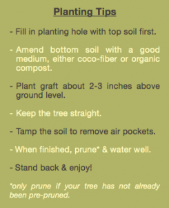 Planting Tips