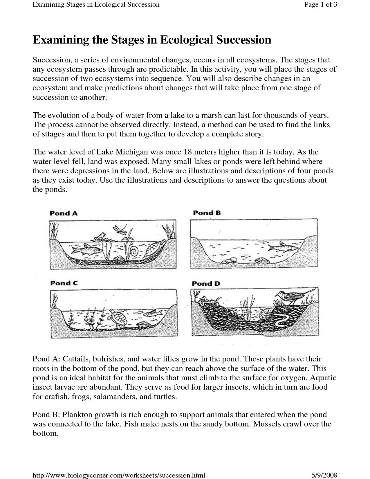 Primary Vs Secondary Succession Worksheet For Ecological Succession Worksheet High School