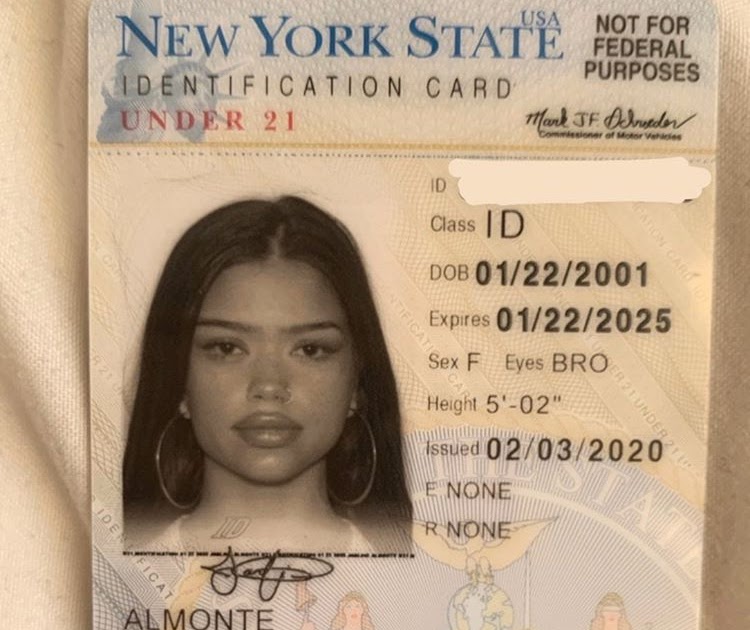 Under 21 New York Id Ny Dmv Driver License And Learner Permit 21 Free