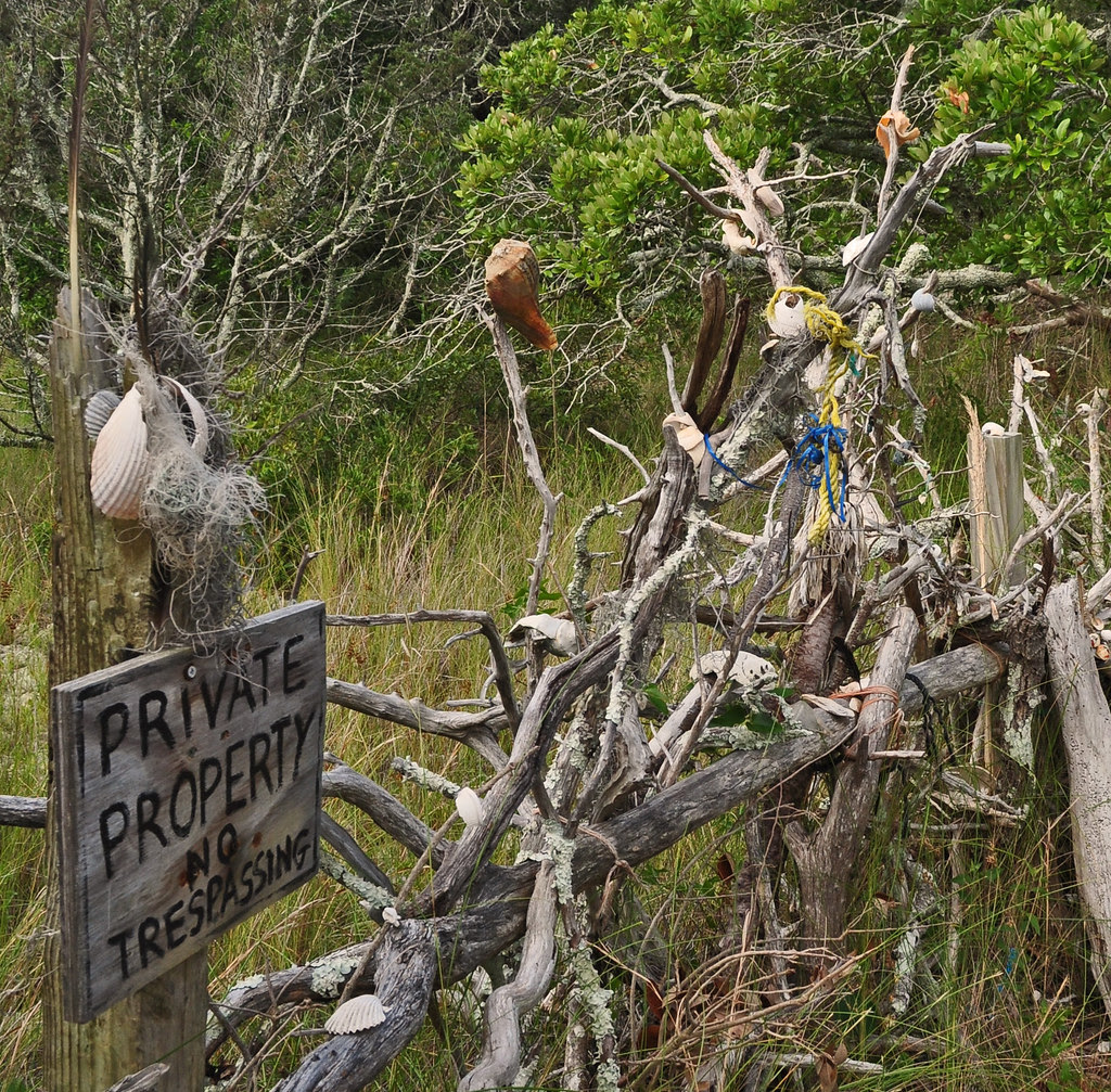 Organic Fence 1