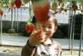 ssDSC_1385.jpg