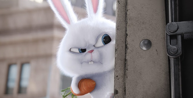 Image result for snowball secret life of pets
