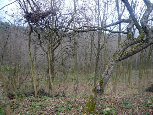 P1160884