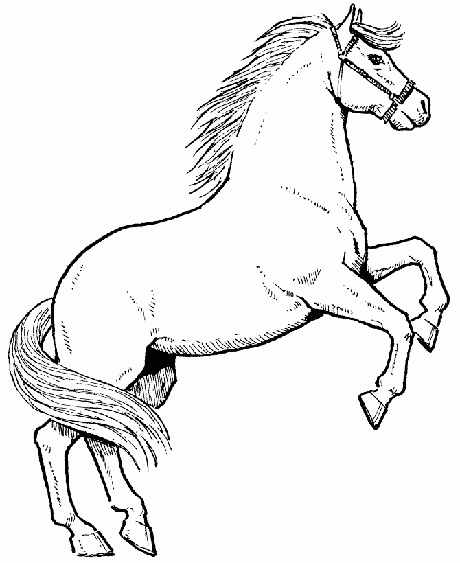 Dessin Kawaii Coloriage A Imprimer De Cheval Qui Se Cabre