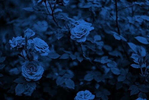 Blue Aesthetic Background For Computer - meandastranger