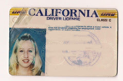 dl2