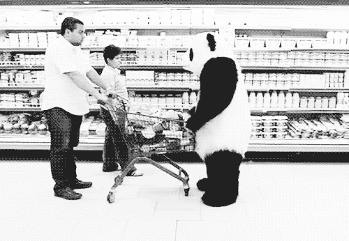 Resultado de imagem para never say no to panda gif