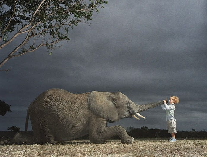24_12_2007_0953899001198496480_tim_flach (1) (700x530, 132Kb)