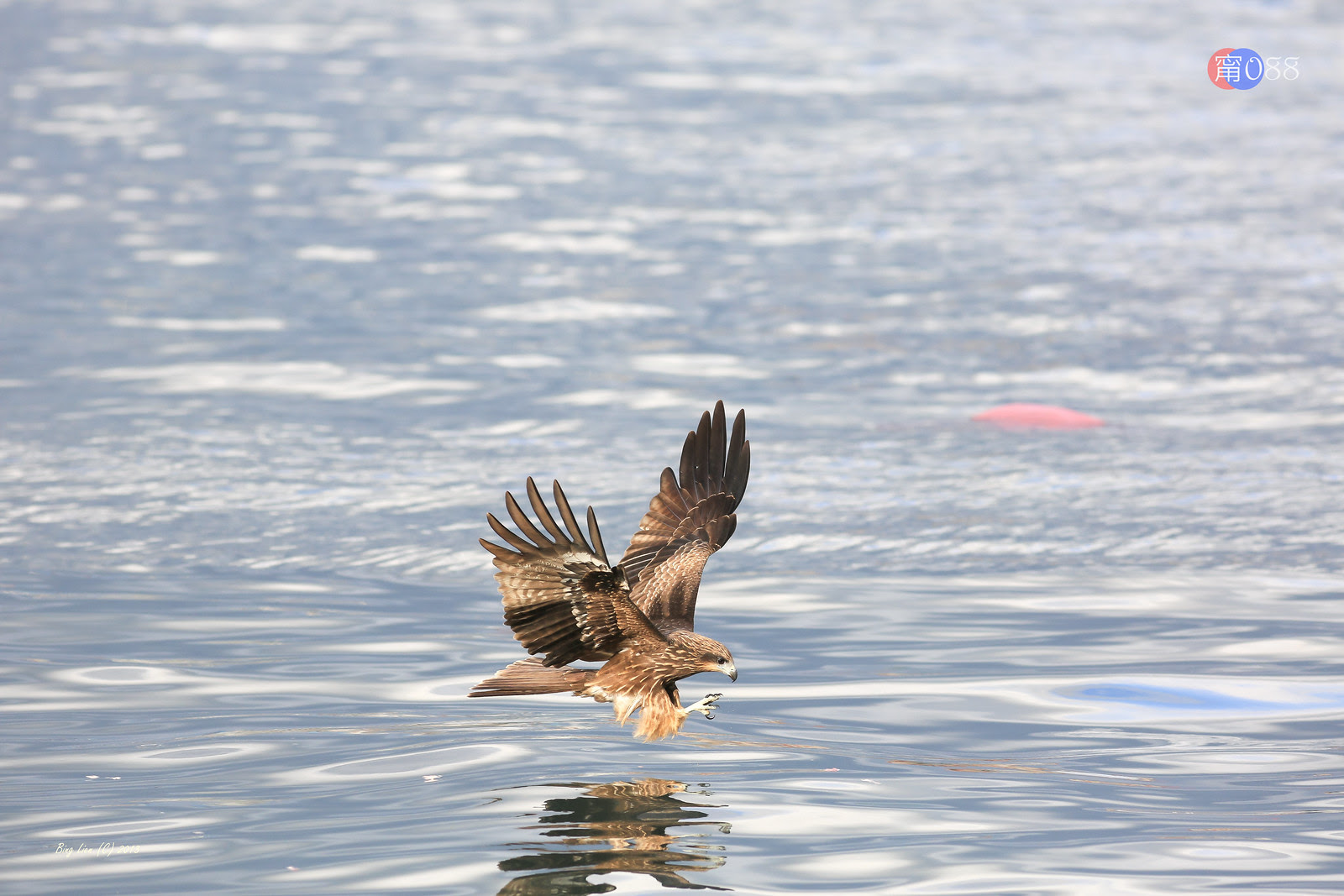 WATER_BING6832_LR-2