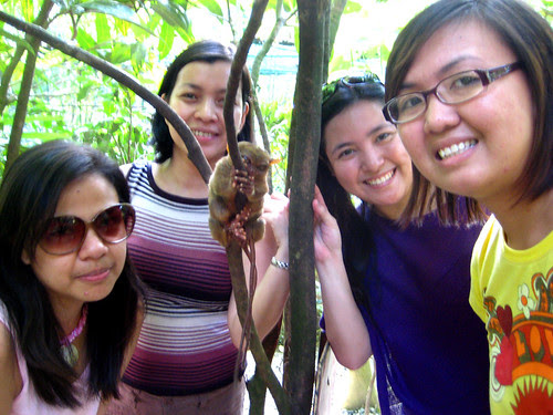 The Tarsier and Us