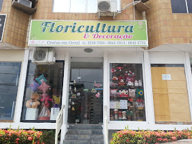 Floricultura Encanto das Flores - Flores, Cestas e Decoração