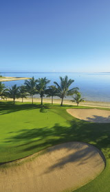 Beachcomber Tours