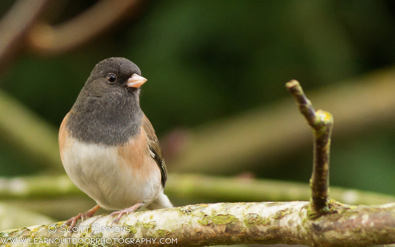 Photo & Video Sharing by SmugMug Photo & Video Sharing by SmugMug