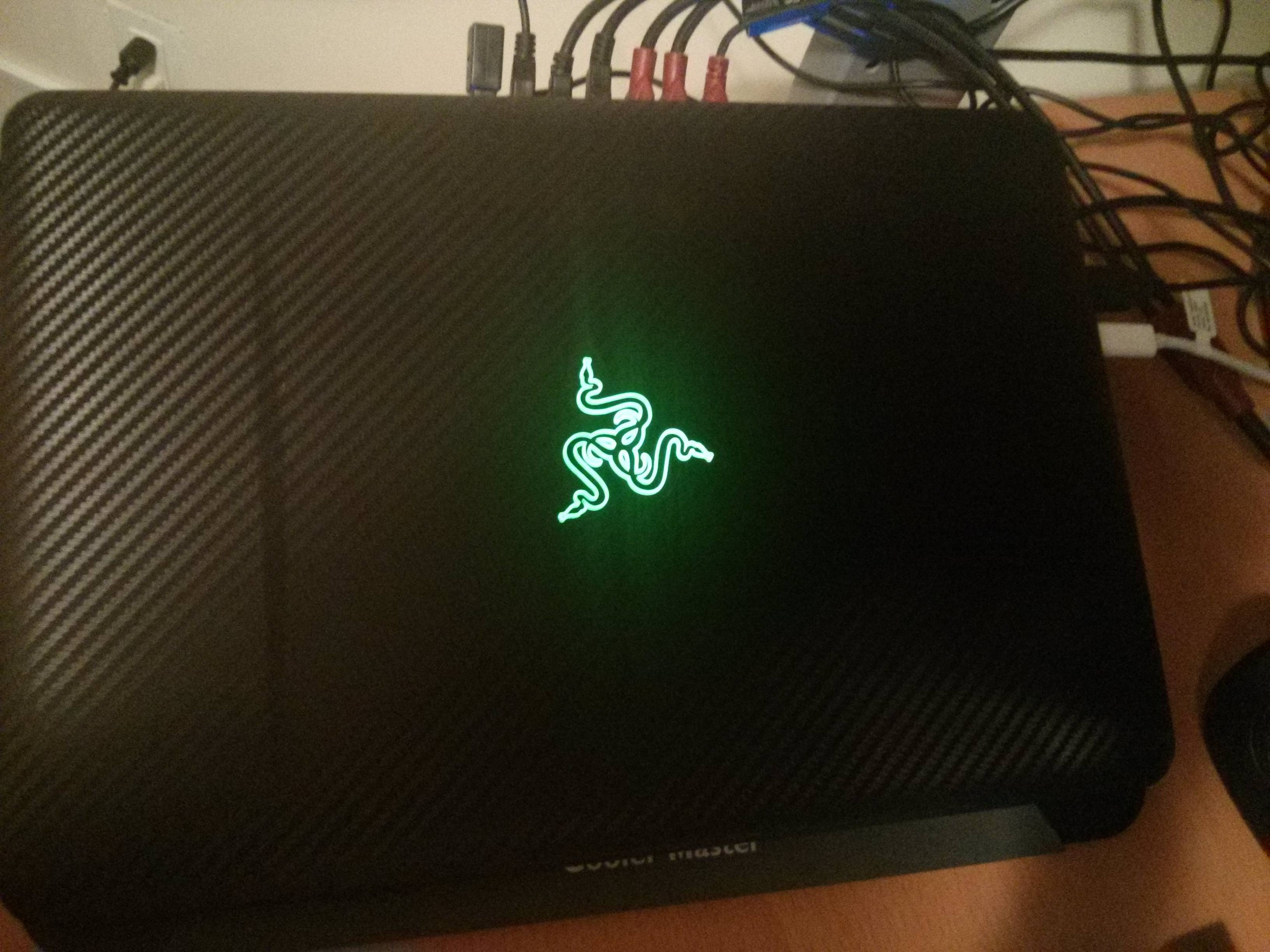Razer Blade Skin Naturalskins