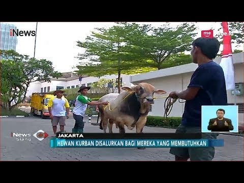 Surat Permohonan Permintaan Hewan Rusa : Contoh Surat Permohonan Daging