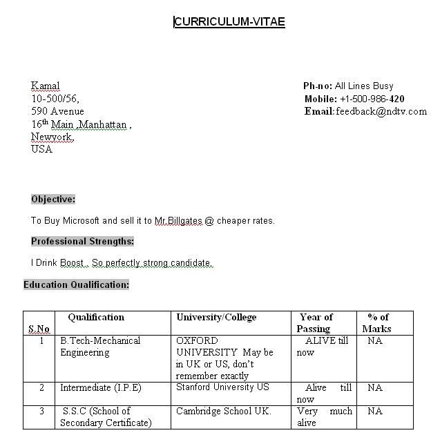 Curriculum Vitae: What Should A Curriculum Vitae Look Like