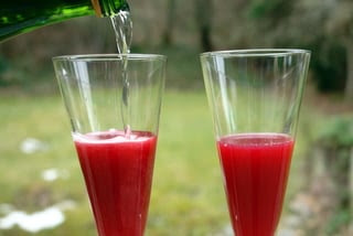 blood-orange-campari-cocktail-prep-4