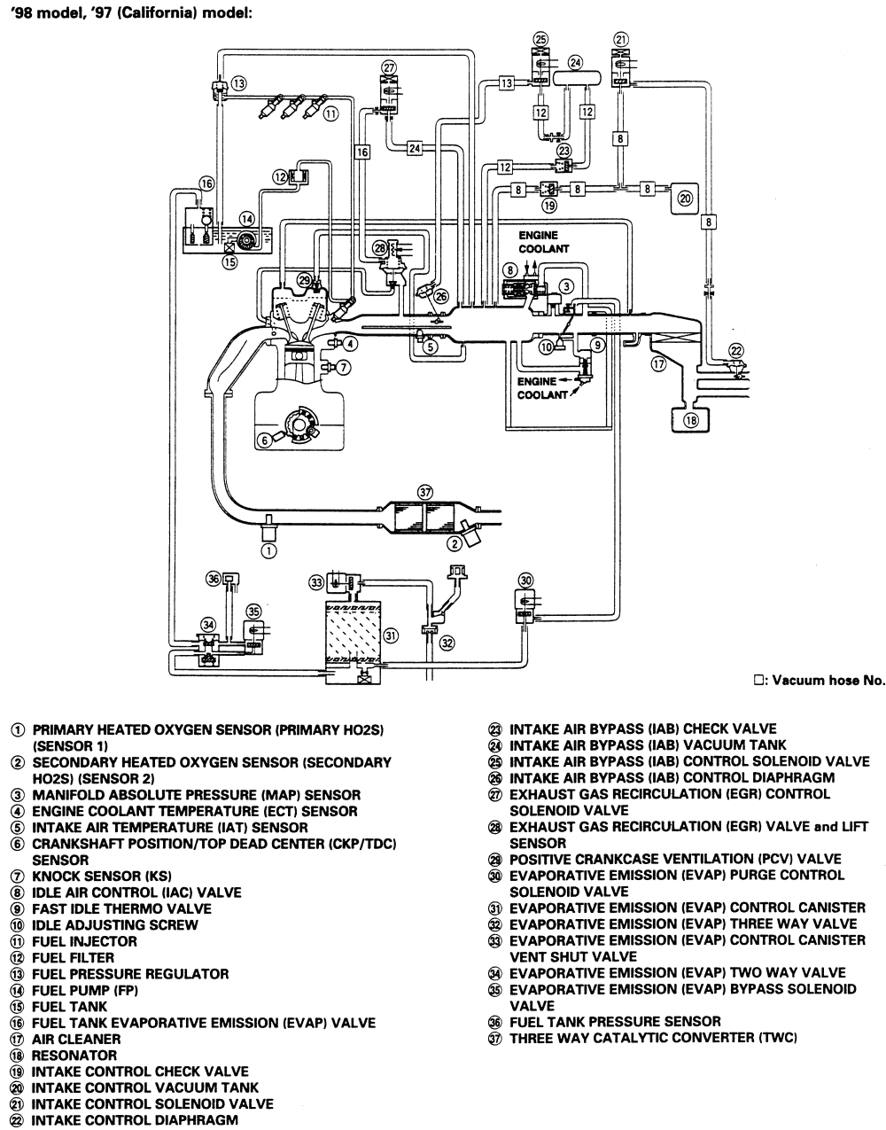 50cc Engine Vacuum Line Diagram