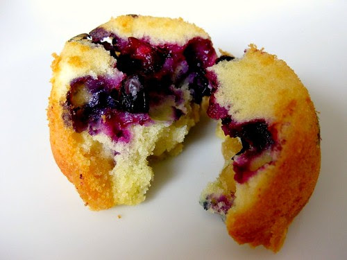 cakeblueberry (3)