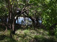 Free Image Hosting at www.ImageShack.us