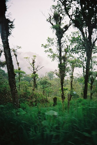 Out the Window