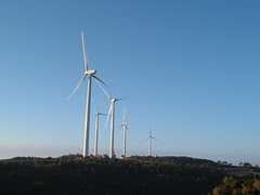 2004_1220Imagen0011