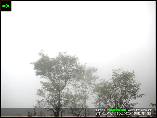 ...the thick fog veiled the sun and hindered it's rays.