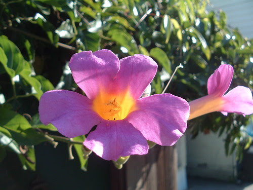 DSCF1047