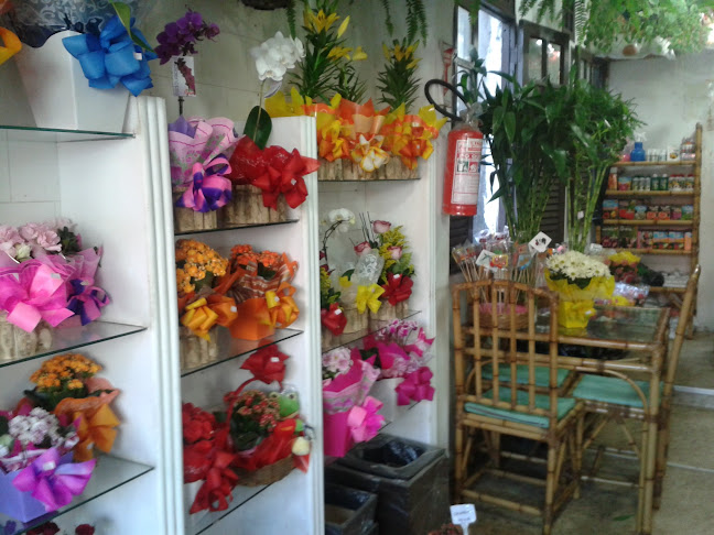 Avaliações sobre Cassia's Floricultura em Salvador - Floricultura