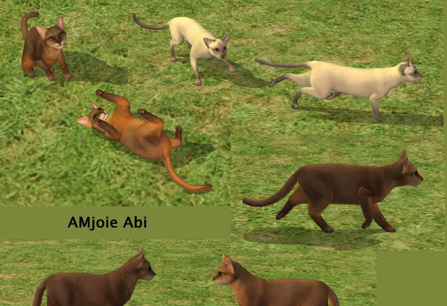 How To Breed Cats Sims 3