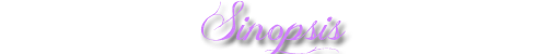 photo sinopsis.png